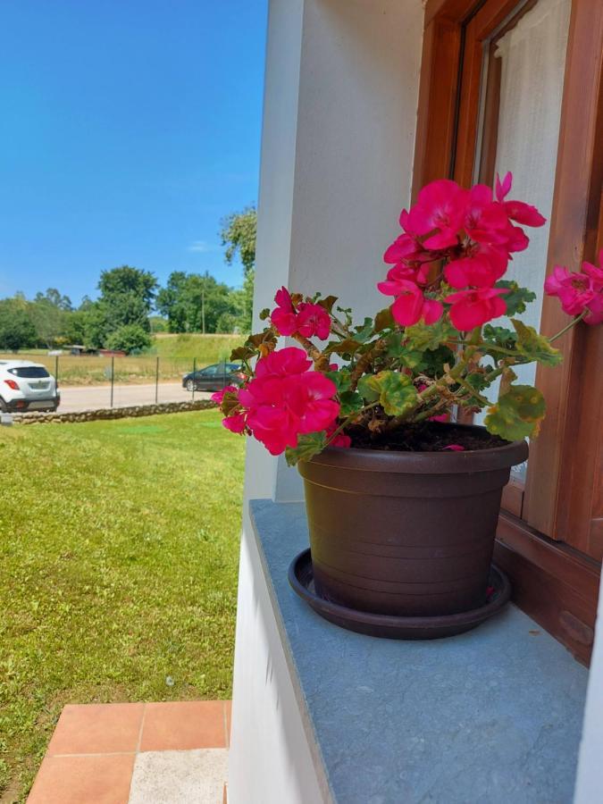 카망고 El Cuadron B&B 외부 사진